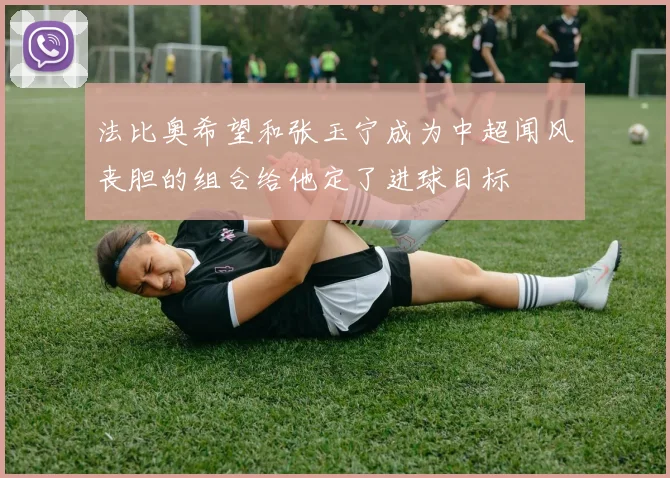 法比奥希望和张玉宁成为中超闻风丧胆的组合给他定了进球目标